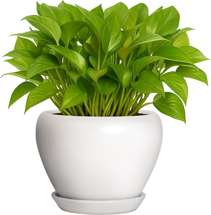 Boutique Huges - Pot de fleurs rond moderne en céramique Deep Dream