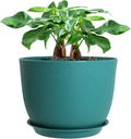 Pot de fleurs en plastique noir moucheté de 30 cm (12 pouces) de la boutique Huges