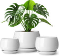 Boutique Huges - Pots de fleurs d'intérieur en céramique blanche de 3,7, 4,8 et 6,2 pouces
