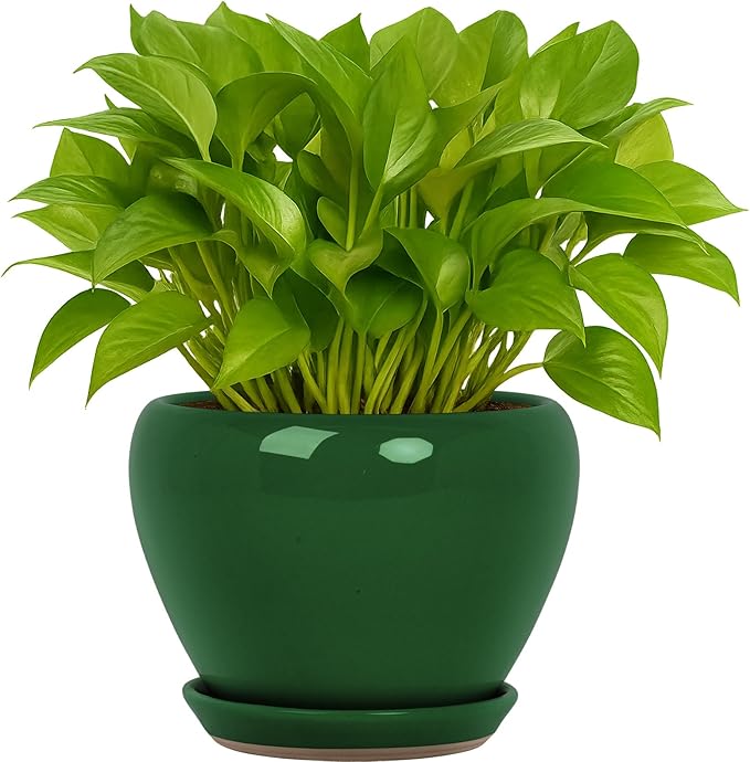 Boutique Huges - Pot de fleurs rond moderne en céramique Deep Dream