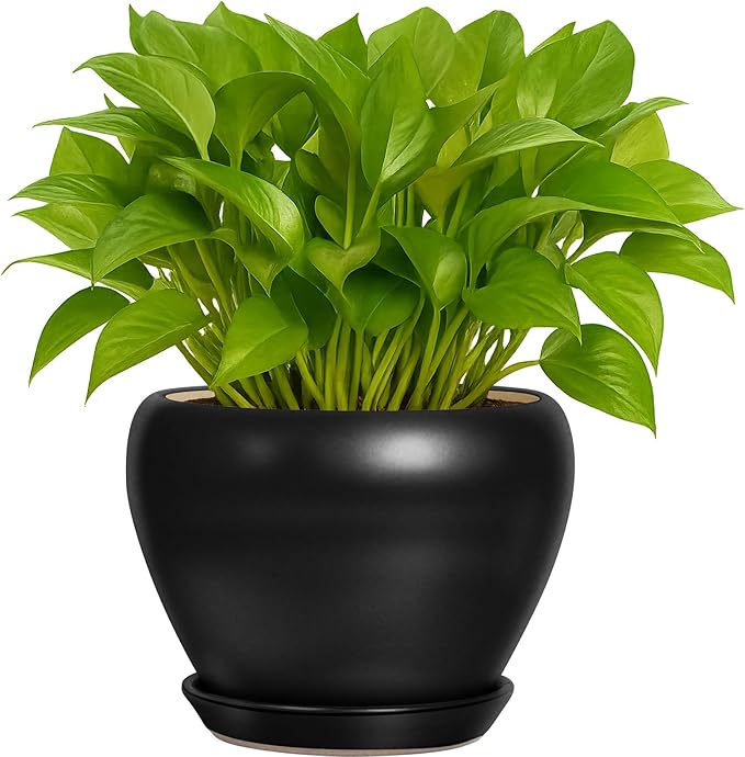 Boutique Huges - Pot de fleurs rond moderne en céramique Deep Dream