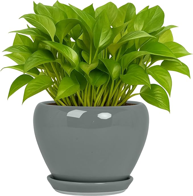 Boutique Huges - Pot de fleurs rond moderne en céramique Deep Dream